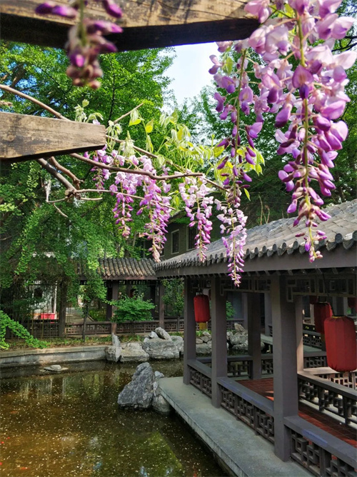 297c89d060fa48e3820a20152a489387 在中国国家画院,与春天有个约会!